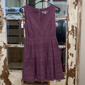 Loft mauve lace dress